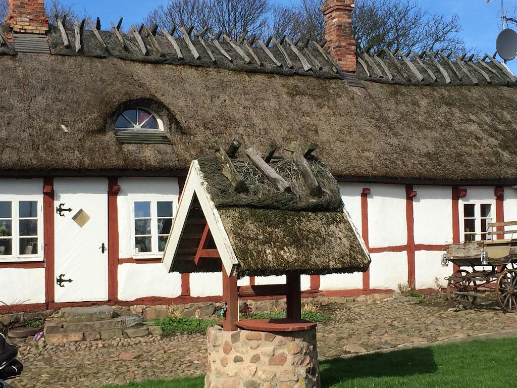 Arilds Vingard Bed and Breakfast Esterno foto