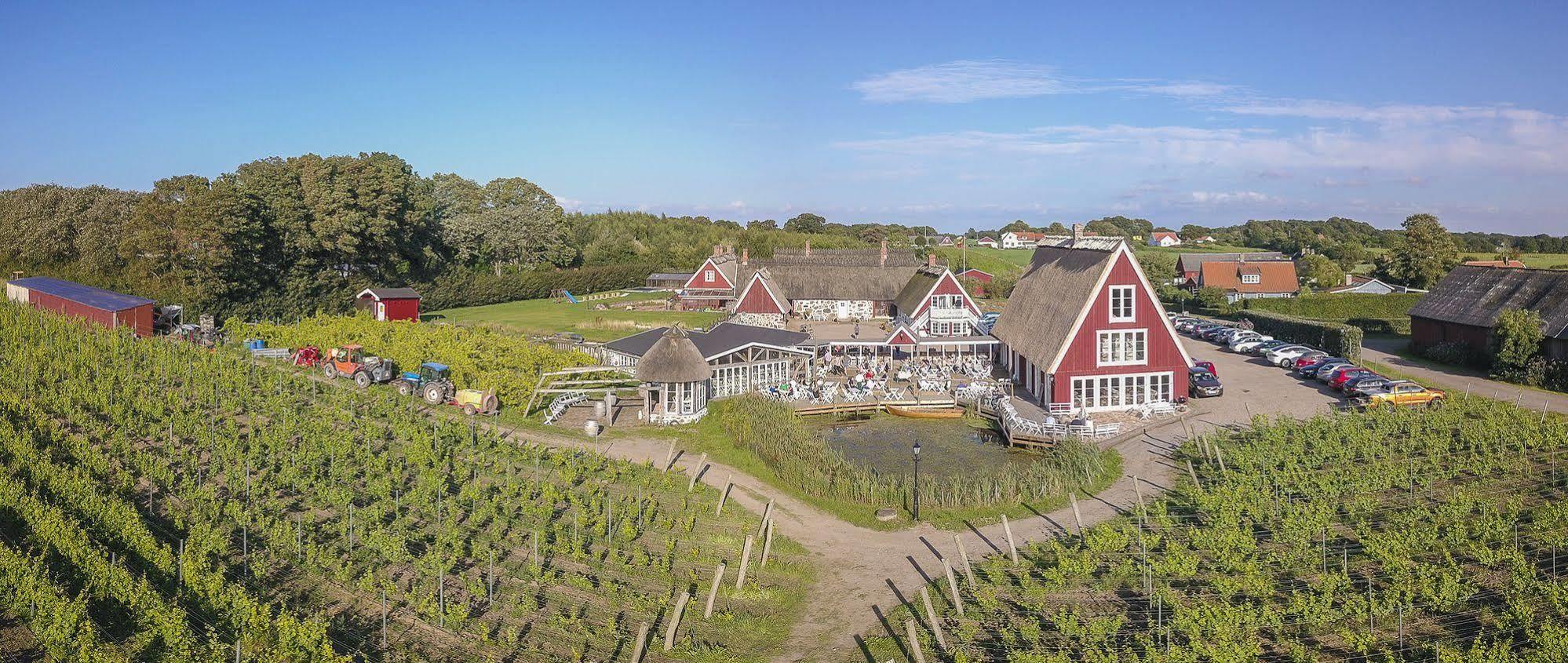 Arilds Vingard Bed and Breakfast Esterno foto